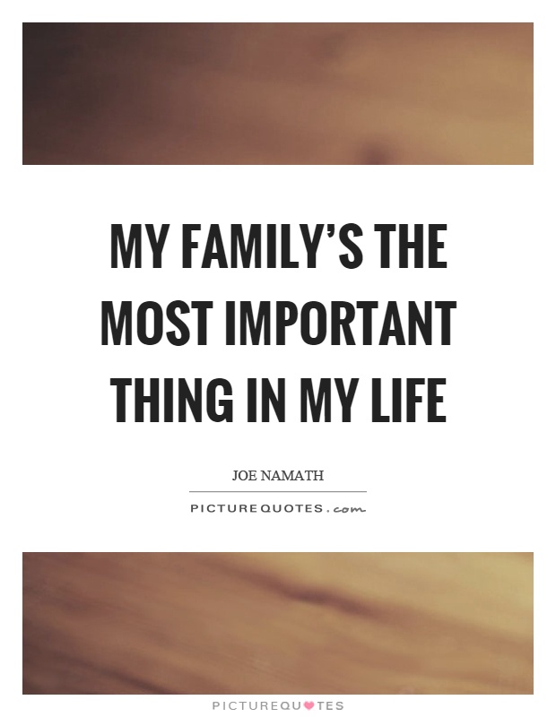 My family's the most important thing in my life Picture Quote #1