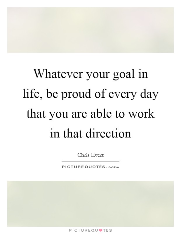 Whatever your goal in life, be proud of every day that you are able to work in that direction Picture Quote #1