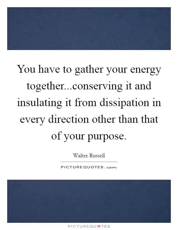 You have to gather your energy together...conserving it and insulating it from dissipation in every direction other than that of your purpose. Picture Quote #1
