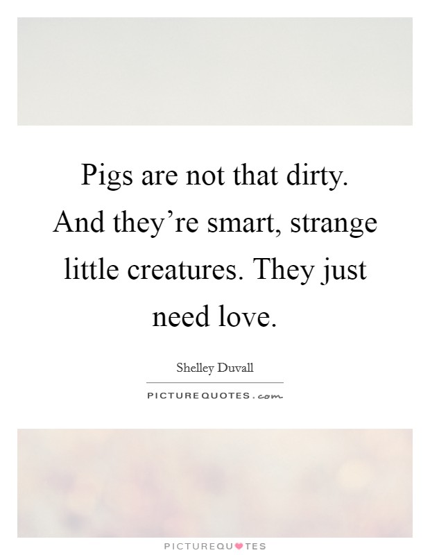 Pigs are not that dirty. And they're smart, strange little creatures. They just need love. Picture Quote #1