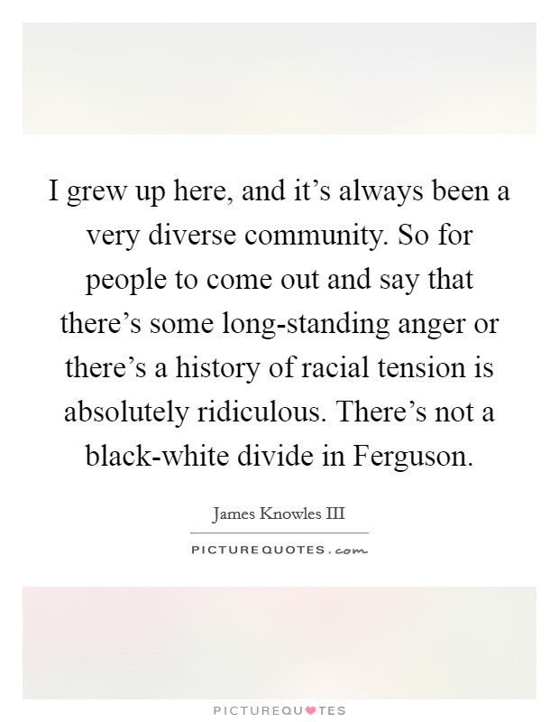 I grew up here, and it's always been a very diverse community. So for people to come out and say that there's some long-standing anger or there's a history of racial tension is absolutely ridiculous. There's not a black-white divide in Ferguson. Picture Quote #1