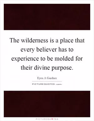 The wilderness is a place that every believer has to experience to be molded for their divine purpose Picture Quote #1