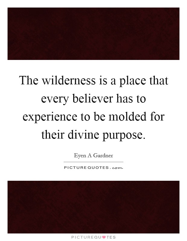 The wilderness is a place that every believer has to experience to be molded for their divine purpose. Picture Quote #1