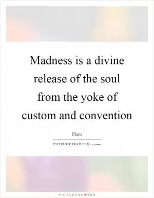 Madness is a divine release of the soul from the yoke of custom and convention Picture Quote #1