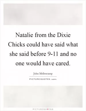 Natalie from the Dixie Chicks could have said what she said before 9-11 and no one would have cared Picture Quote #1
