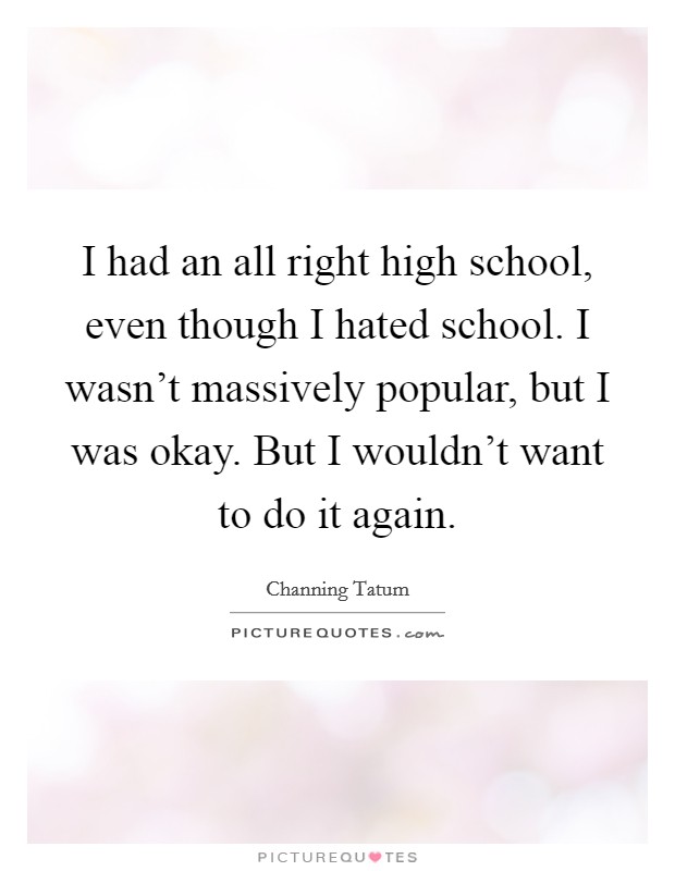 I had an all right high school, even though I hated school. I wasn't massively popular, but I was okay. But I wouldn't want to do it again. Picture Quote #1