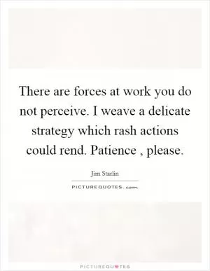 There are forces at work you do not perceive. I weave a delicate strategy which rash actions could rend. Patience , please Picture Quote #1