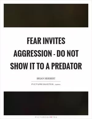 Fear invites aggression - do not show it to a predator Picture Quote #1