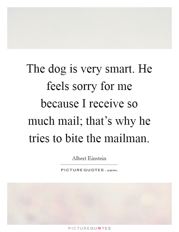 The dog is very smart. He feels sorry for me because I receive so much mail; that's why he tries to bite the mailman. Picture Quote #1
