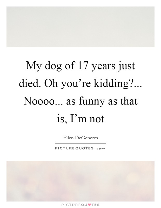 My dog of 17 years just died. Oh you're kidding?... Noooo... as funny as that is, I'm not Picture Quote #1
