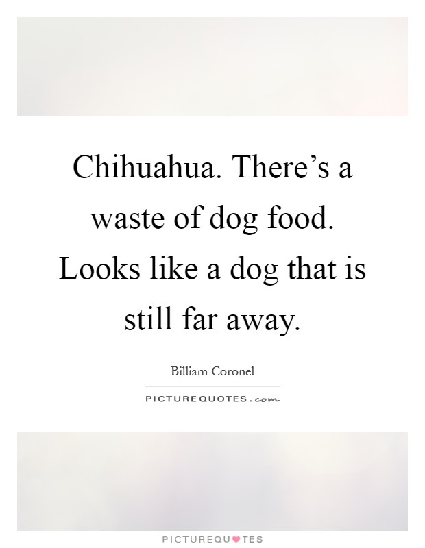 Chihuahua. There's a waste of dog food. Looks like a dog that is still far away. Picture Quote #1