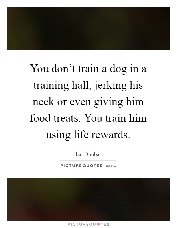 You don't train a dog in a training hall, jerking his neck or even giving him food treats. You train him using life rewards. Picture Quote #1
