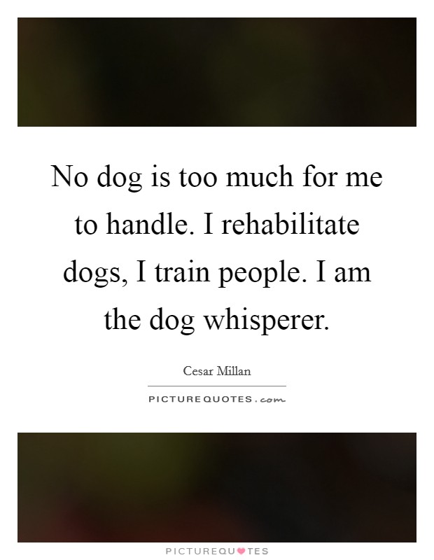 No dog is too much for me to handle. I rehabilitate dogs, I train people. I am the dog whisperer. Picture Quote #1