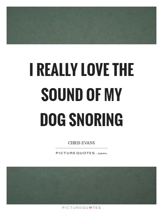 I really love the sound of my dog snoring Picture Quote #1