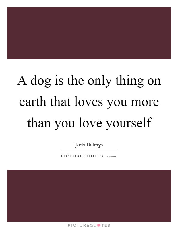 A dog is the only thing on earth that loves you more than you love yourself Picture Quote #1
