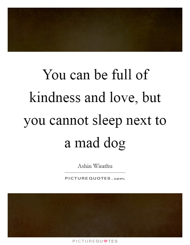 You can be full of kindness and love, but you cannot sleep next to a mad dog Picture Quote #1