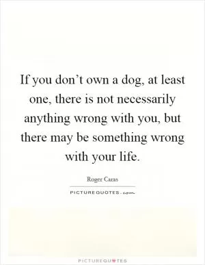 If you don’t own a dog, at least one, there is not necessarily anything wrong with you, but there may be something wrong with your life Picture Quote #1