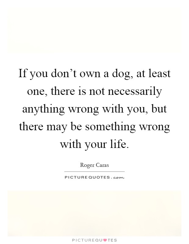 If you don't own a dog, at least one, there is not necessarily anything wrong with you, but there may be something wrong with your life. Picture Quote #1