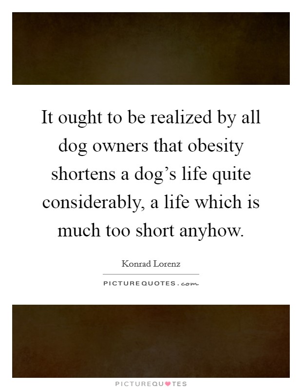 It ought to be realized by all dog owners that obesity shortens a dog's life quite considerably, a life which is much too short anyhow. Picture Quote #1