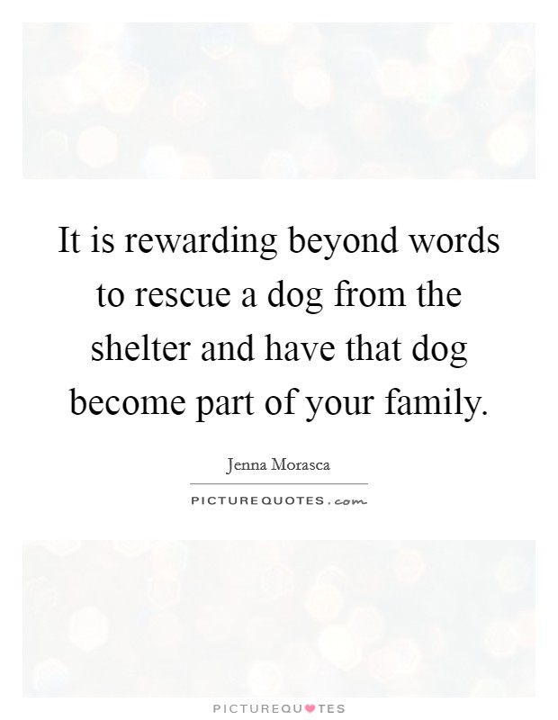 It is rewarding beyond words to rescue a dog from the shelter and have that dog become part of your family. Picture Quote #1