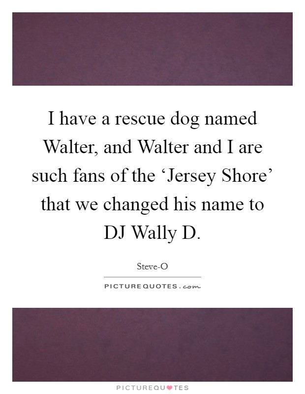 I have a rescue dog named Walter, and Walter and I are such fans of the ‘Jersey Shore' that we changed his name to DJ Wally D. Picture Quote #1