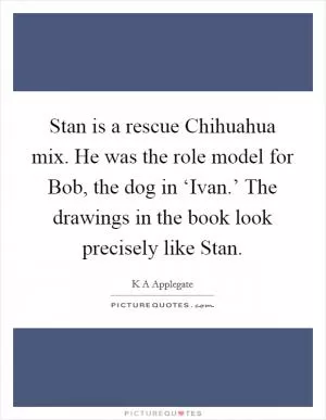 Stan is a rescue Chihuahua mix. He was the role model for Bob, the dog in ‘Ivan.’ The drawings in the book look precisely like Stan Picture Quote #1