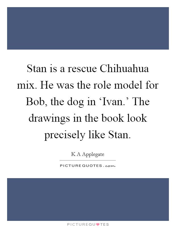 Stan is a rescue Chihuahua mix. He was the role model for Bob, the dog in ‘Ivan.' The drawings in the book look precisely like Stan. Picture Quote #1