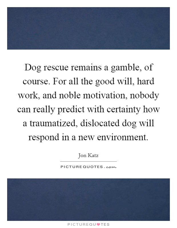 Dog rescue remains a gamble, of course. For all the good will, hard work, and noble motivation, nobody can really predict with certainty how a traumatized, dislocated dog will respond in a new environment. Picture Quote #1