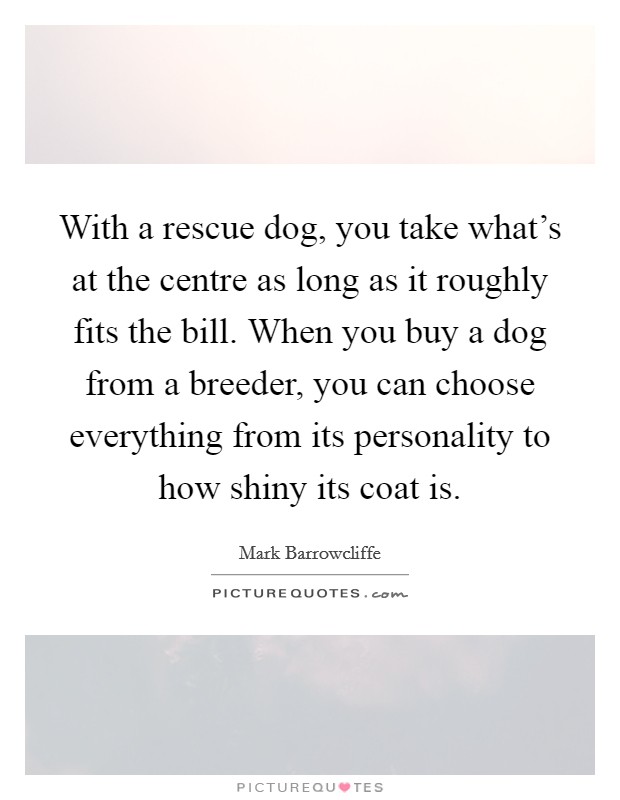 With a rescue dog, you take what's at the centre as long as it roughly fits the bill. When you buy a dog from a breeder, you can choose everything from its personality to how shiny its coat is. Picture Quote #1