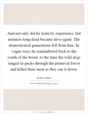 And not only did he learn by experience, but instincts long dead became alive again. The domesticated generations fell from him. In vague ways he remembered back to the youth of the breed, to the time the wild dogs ranged in packs through the primeval forest and killed their meat as they ran it down Picture Quote #1