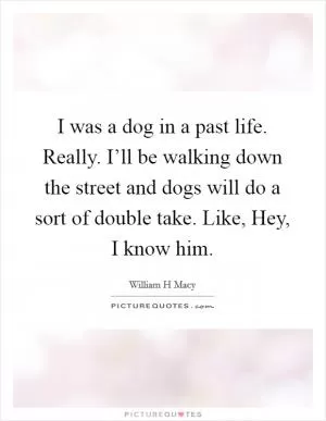 I was a dog in a past life. Really. I’ll be walking down the street and dogs will do a sort of double take. Like, Hey, I know him Picture Quote #1