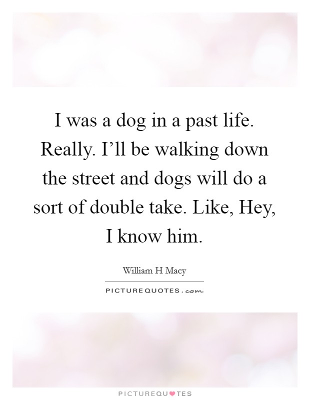 I was a dog in a past life. Really. I'll be walking down the street and dogs will do a sort of double take. Like, Hey, I know him. Picture Quote #1