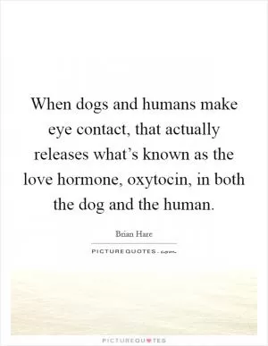 When dogs and humans make eye contact, that actually releases what’s known as the love hormone, oxytocin, in both the dog and the human Picture Quote #1