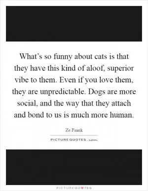 What’s so funny about cats is that they have this kind of aloof, superior vibe to them. Even if you love them, they are unpredictable. Dogs are more social, and the way that they attach and bond to us is much more human Picture Quote #1