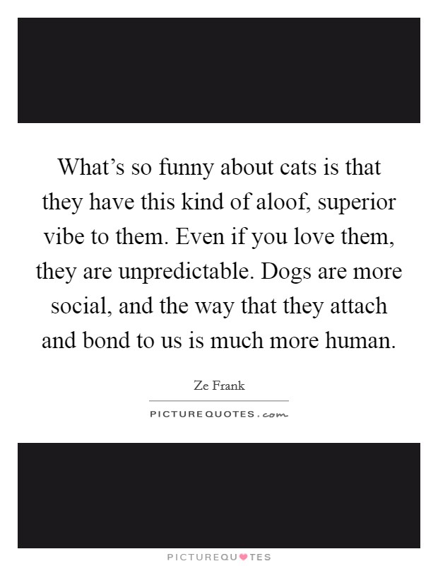What's so funny about cats is that they have this kind of aloof, superior vibe to them. Even if you love them, they are unpredictable. Dogs are more social, and the way that they attach and bond to us is much more human. Picture Quote #1
