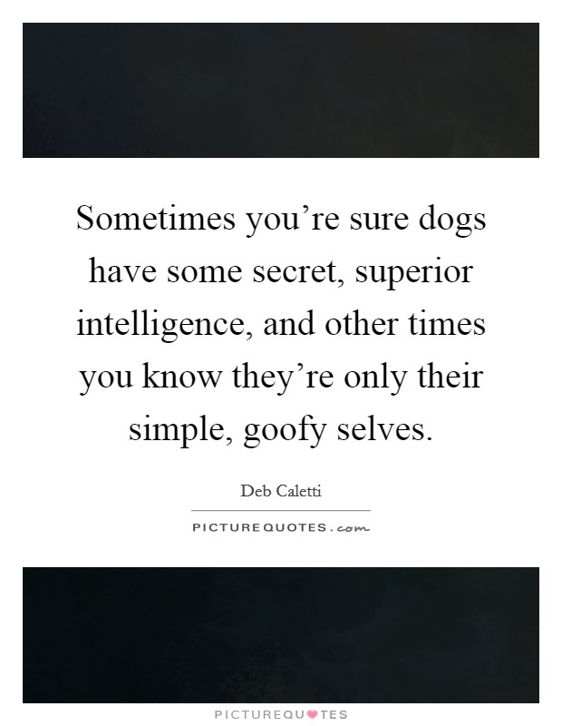 Sometimes you're sure dogs have some secret, superior intelligence, and other times you know they're only their simple, goofy selves. Picture Quote #1