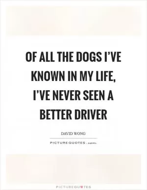 Of all the dogs I’ve known in my life, I’ve never seen a better driver Picture Quote #1