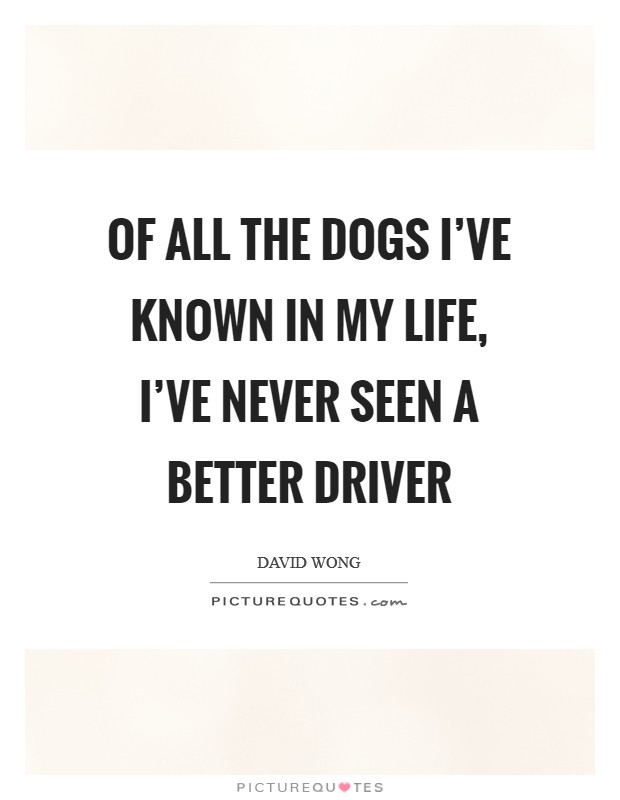 Of all the dogs I've known in my life, I've never seen a better driver Picture Quote #1