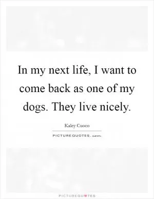In my next life, I want to come back as one of my dogs. They live nicely Picture Quote #1