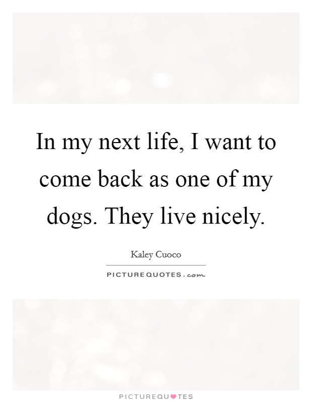 In my next life, I want to come back as one of my dogs. They live nicely. Picture Quote #1
