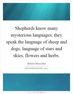 Shepherds know many mysterious languages; they speak the language of sheep and dogs, language of stars and skies, flowers and herbs Picture Quote #1