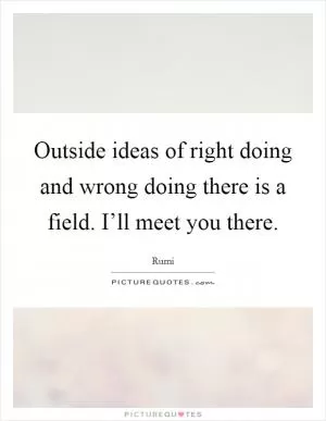 Outside ideas of right doing and wrong doing there is a field. I’ll meet you there Picture Quote #1
