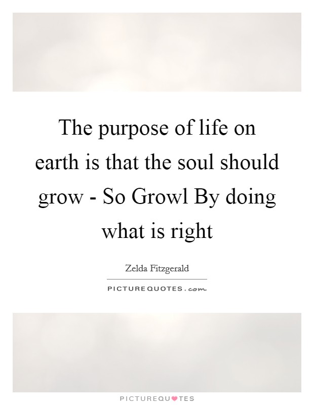 The purpose of life on earth is that the soul should grow - So Growl By doing what is right Picture Quote #1