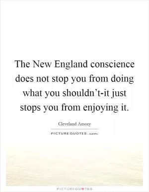 The New England conscience does not stop you from doing what you shouldn’t-it just stops you from enjoying it Picture Quote #1