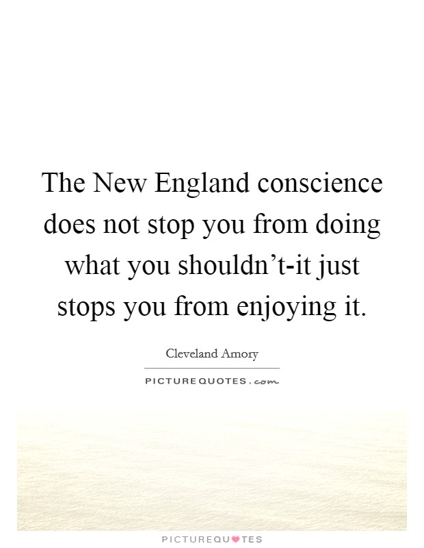 The New England conscience does not stop you from doing what you shouldn't-it just stops you from enjoying it. Picture Quote #1