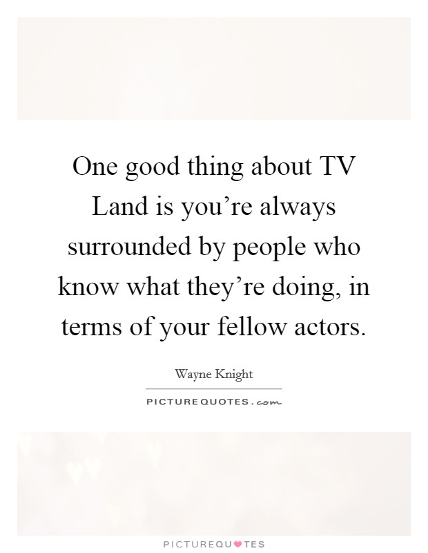 One good thing about TV Land is you're always surrounded by people who know what they're doing, in terms of your fellow actors. Picture Quote #1
