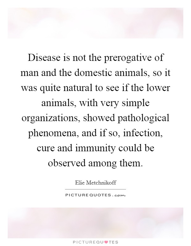 Disease is not the prerogative of man and the domestic animals, so it was quite natural to see if the lower animals, with very simple organizations, showed pathological phenomena, and if so, infection, cure and immunity could be observed among them. Picture Quote #1