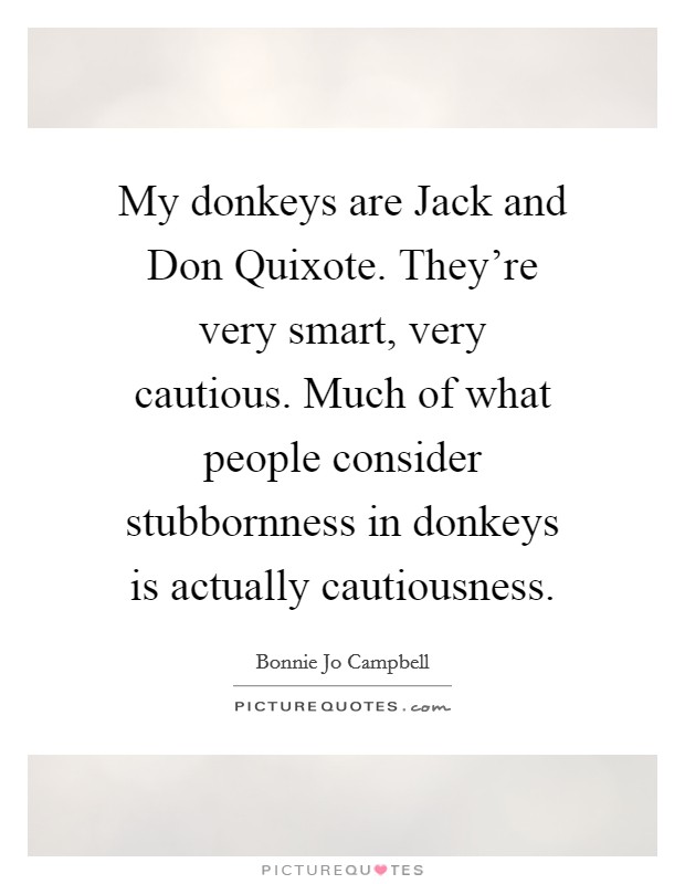 My donkeys are Jack and Don Quixote. They're very smart, very cautious. Much of what people consider stubbornness in donkeys is actually cautiousness. Picture Quote #1