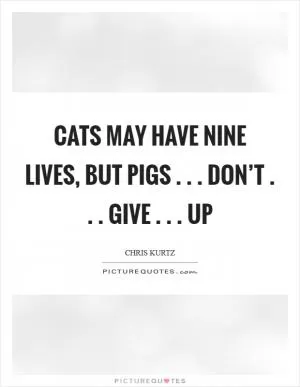 Cats may have nine lives, but pigs . . . don’t . . . give . . . up Picture Quote #1