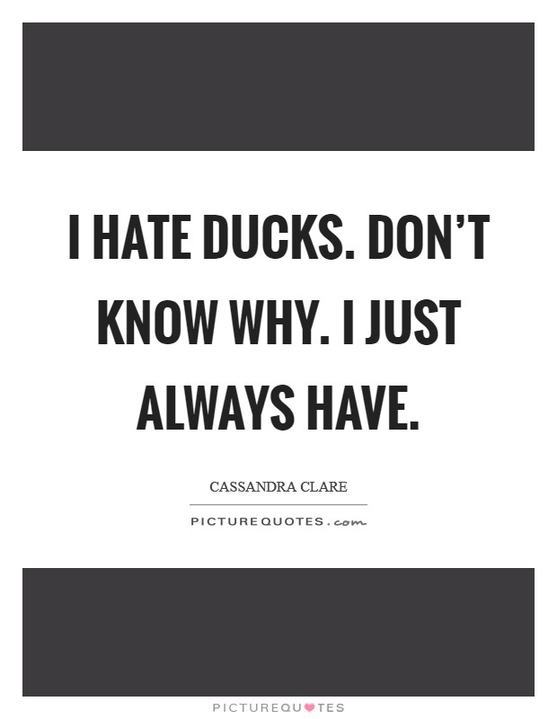 I hate ducks. Don't know why. I just always have. Picture Quote #1